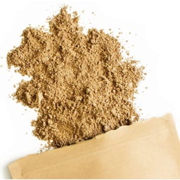 Terra Elements Reishi Pulver Bio - 100 g