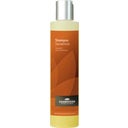 Cosmoveda Sandalwood Shampoo
