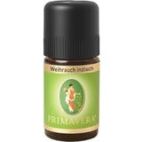 PRIMAVERA Olio Essenziale di Incenso Indiano