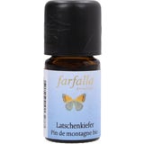 Farfalla Pino Mugo Bio