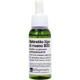La Saponaria Estratto Liposolubile di Rusco Bio