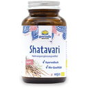 Organic Shatavari, 90 Capsules