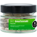 Shatavari Bio - en Gélules, 80 gélules